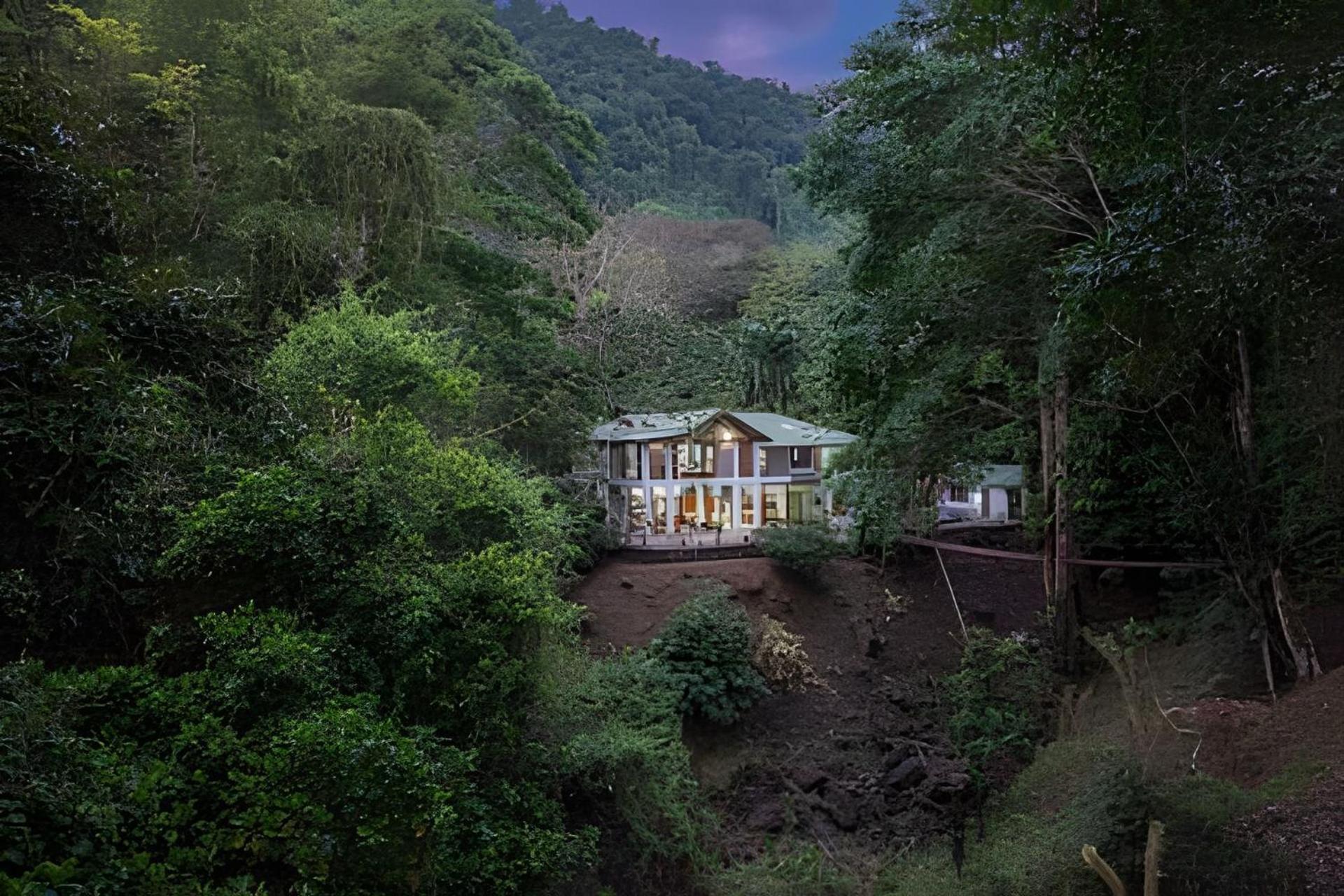 The Jungle Inn Dominicalito Eksteriør billede