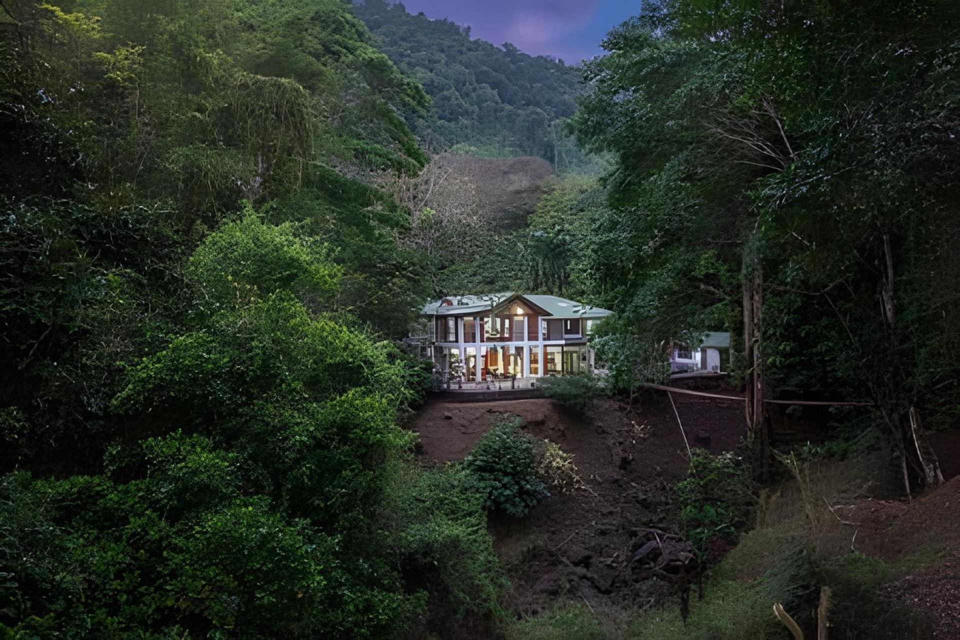 The Jungle Inn Dominicalito Eksteriør billede