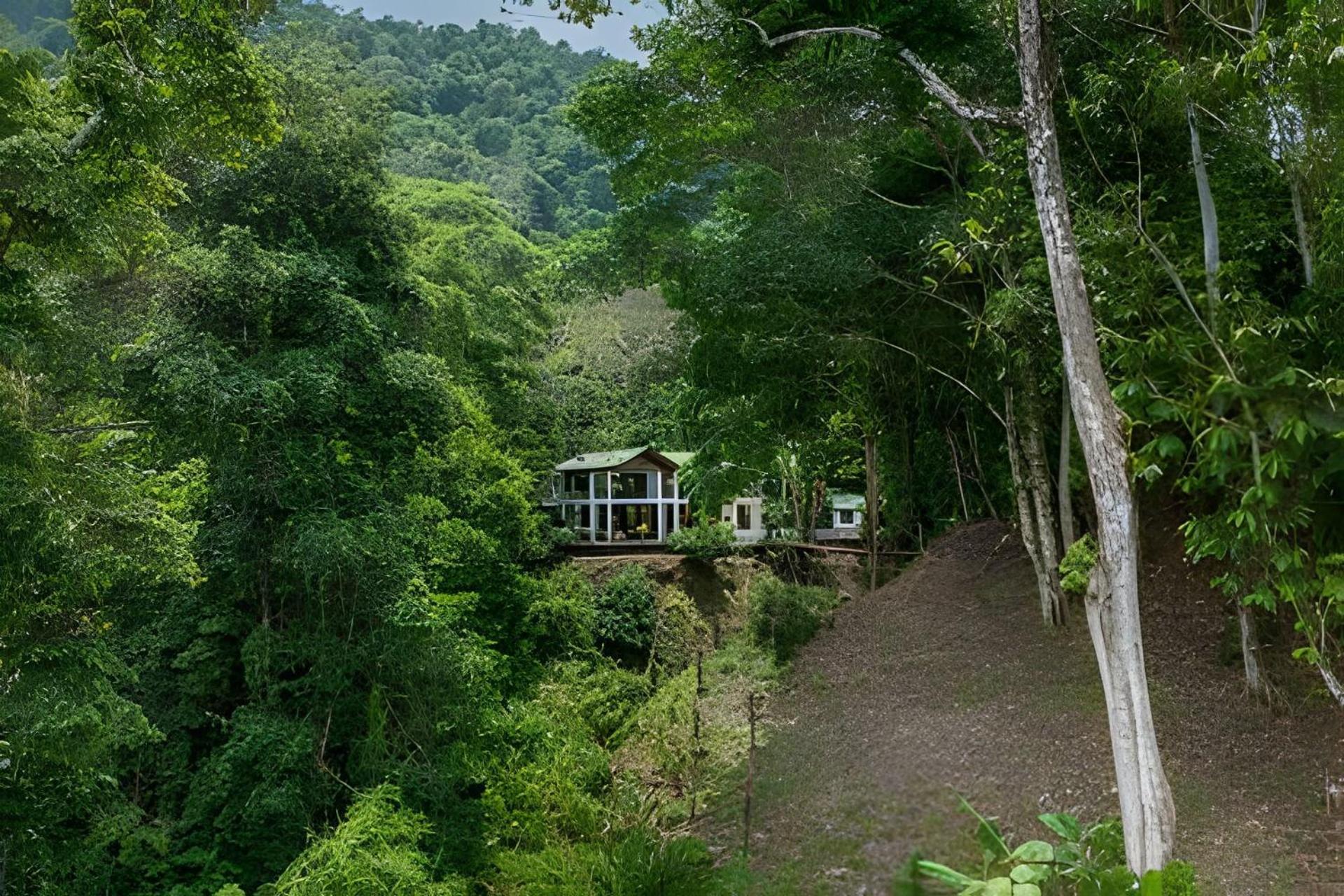 The Jungle Inn Dominicalito Eksteriør billede